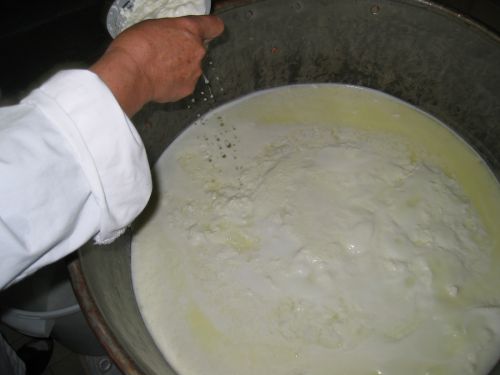 scuola di formaggio-49.JPG